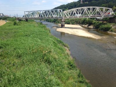 大和川(奈良県王寺町)にてバードウォッチング_a0327982_133958100.jpg
