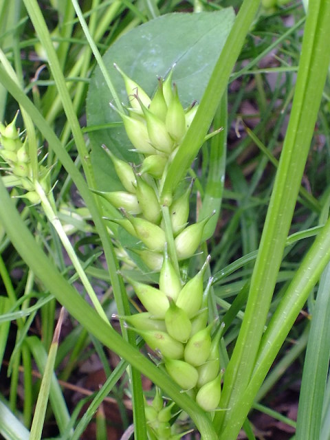 e0145782_1438812.jpg