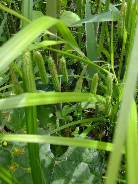 e0145782_14423140.jpg