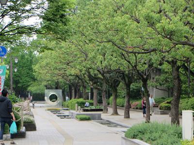 東遊園地のビオトープ_b0051598_22127100.jpg