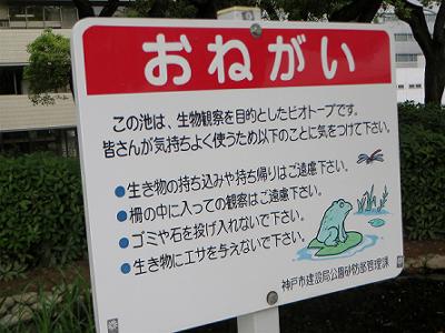 b0051598_2245498.jpg