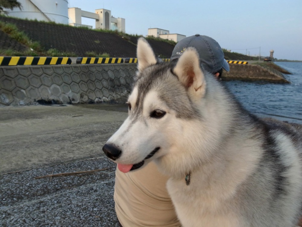 毎度おなじみの~♪ (*^_^*)_c0049299_22141153.jpg