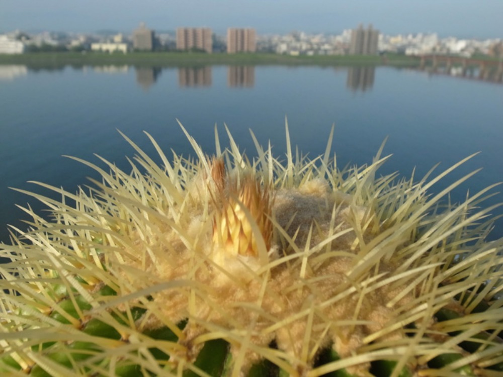 毎度おなじみの~♪ (*^_^*)_c0049299_22193217.jpg
