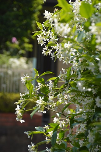 c0124100_22365730.jpg