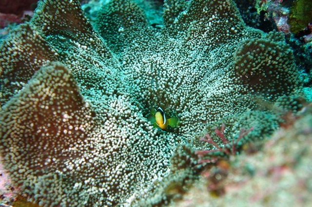 c0368903_08575545.jpg