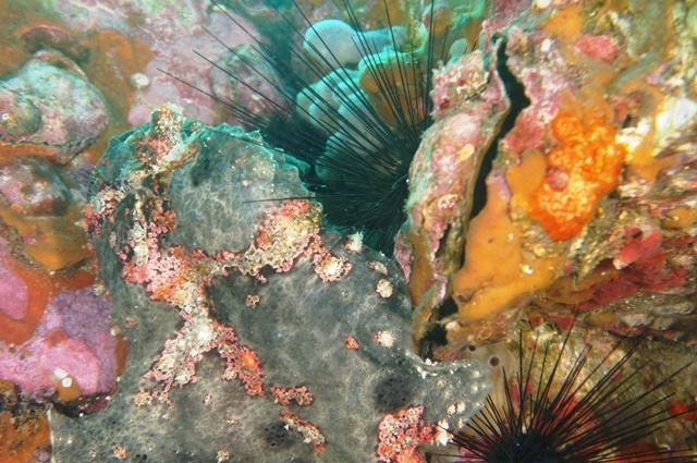 c0368903_09023593.jpg