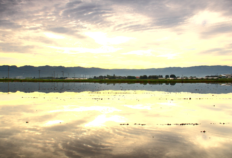 e0093903_8165141.jpg