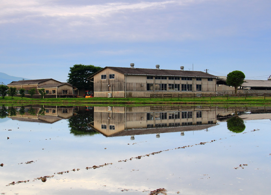 e0093903_816653.jpg