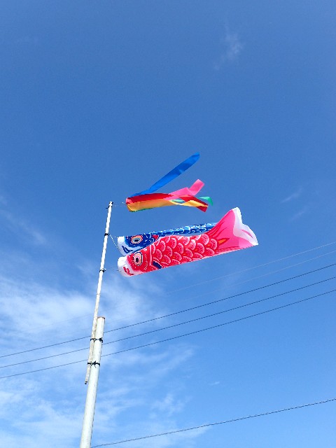 f0043911_17231750.jpg