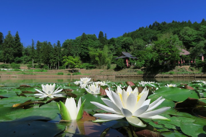 a0268412_22434344.jpg