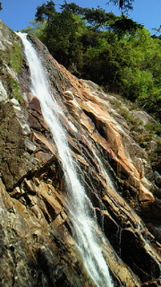 b0170623_8132368.jpg