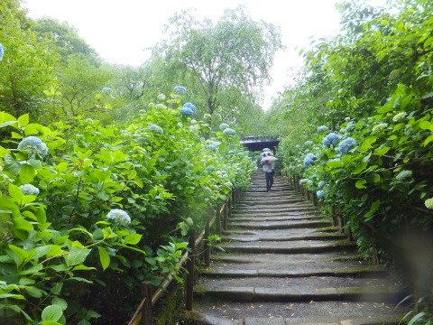 e0335926_12383779.jpg
