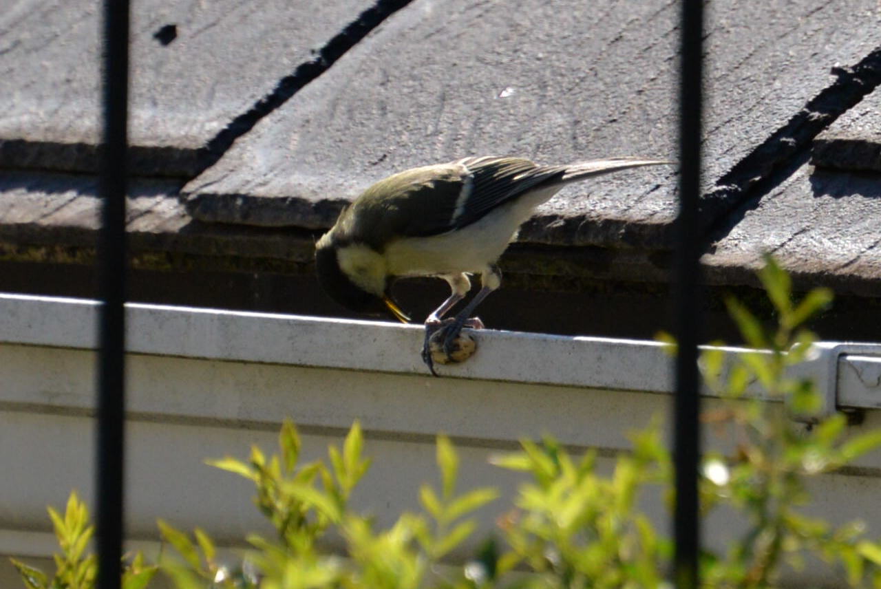 e0335926_22010615.jpg