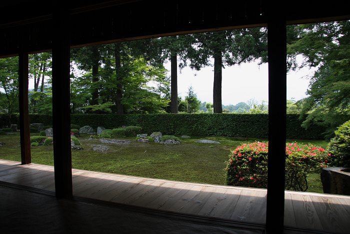 初夏の八瀬から岩倉へ －円通寺－_b0169330_10172510.jpg