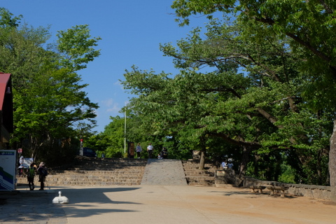 高尾山から一丁平へゆるり歩き♪　〜５月13日(水)〜　その②_b0281732_8191171.jpg