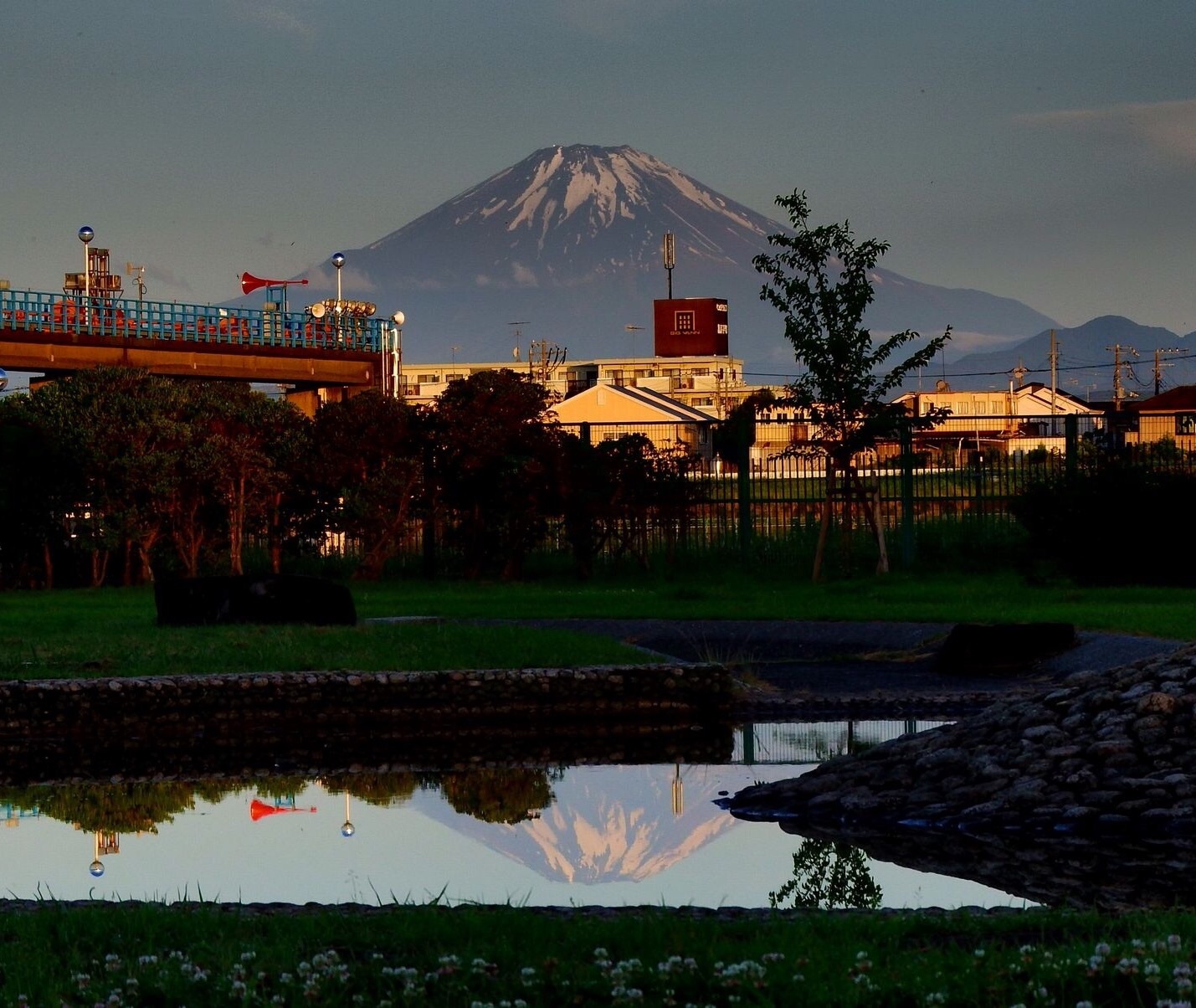 30/May  富士山とシジュウカラと夾竹桃_e0149934_22100458.jpg