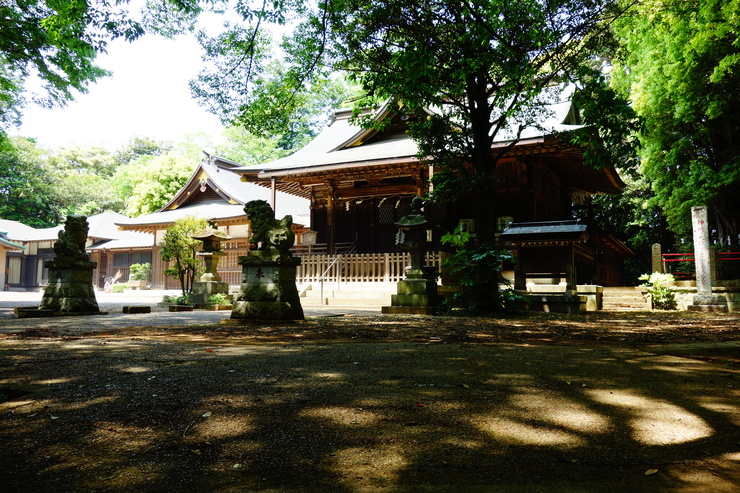 駆け足で巡る 千葉、茨城 その4～香取 蔵元 寺田本家_a0287336_0575468.jpg