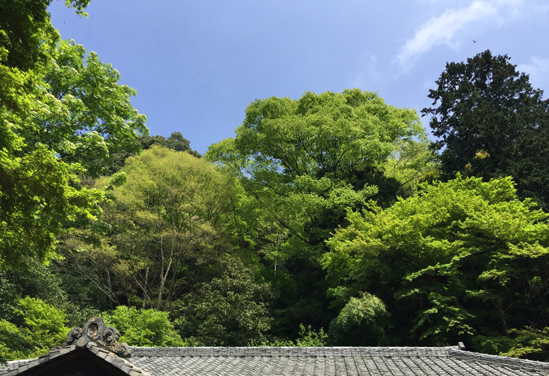 行道山浄因寺 清心亭 足利 3_e0127948_205144.jpg