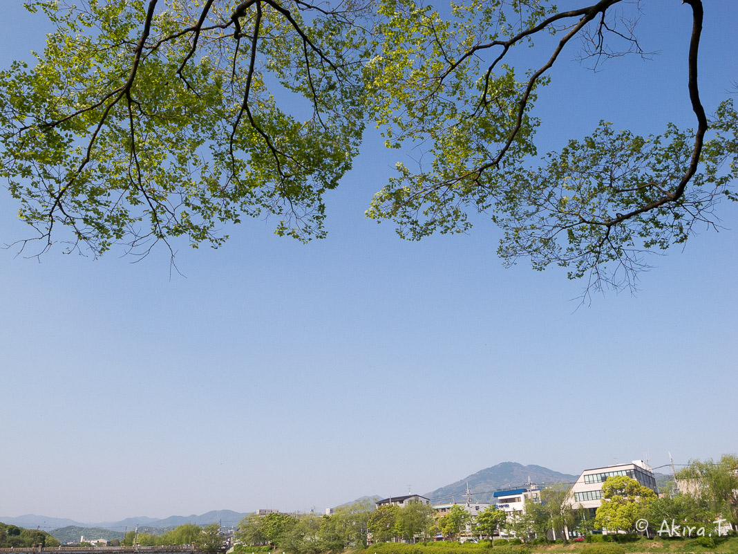 f0152550_23121660.jpg