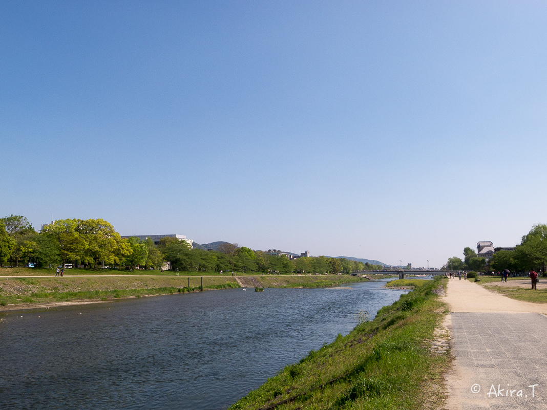 f0152550_2371127.jpg