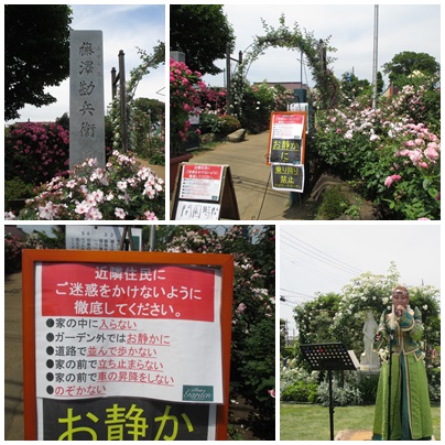 茨城県つくば市 藤沢邸 おきらくまま通信
