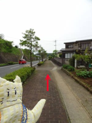 e0033751_17384747.jpg