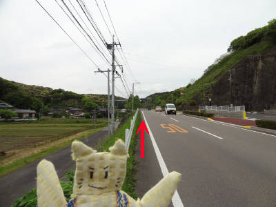 e0033751_1855076.jpg