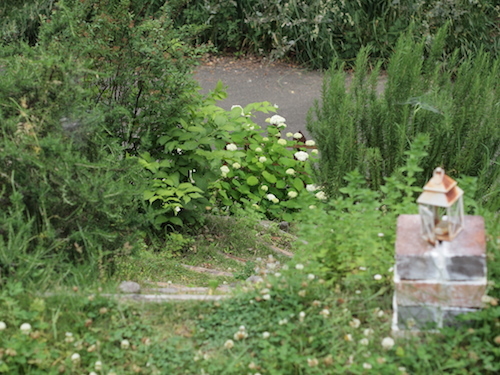 a0335560_17455401.jpg