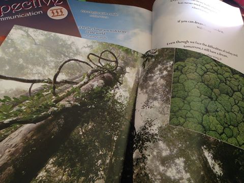 c0115560_9371448.jpg