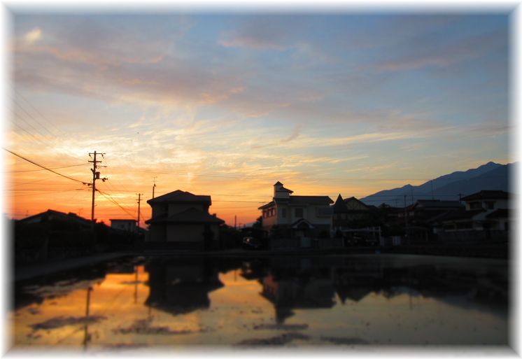 朝景色・・・♪_d0175974_20183738.jpg
