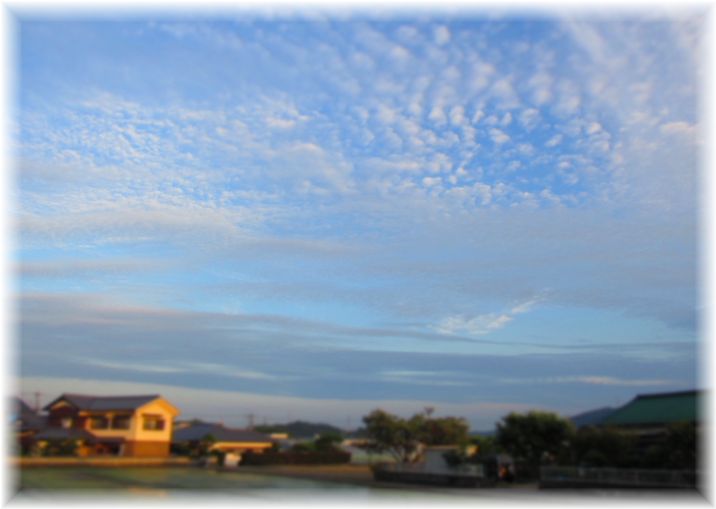 朝景色・・・♪_d0175974_2019175.jpg