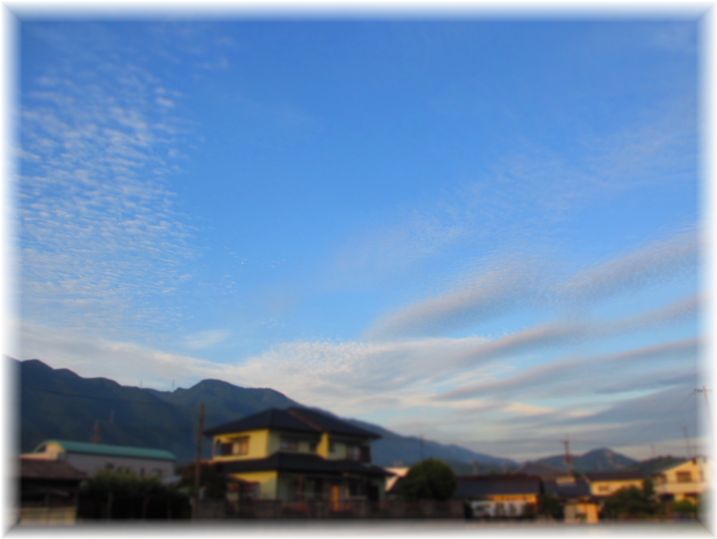 朝景色・・・♪_d0175974_2019655.jpg