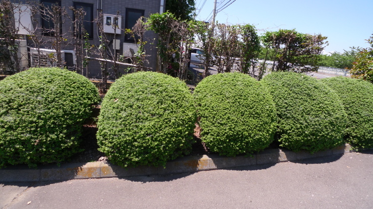 c0212083_17071199.jpg