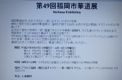 天神で華展_d0195183_4323017.jpg
