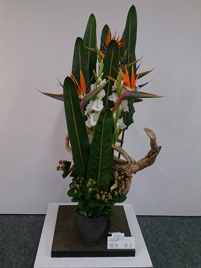 天神で華展_d0195183_981174.jpg
