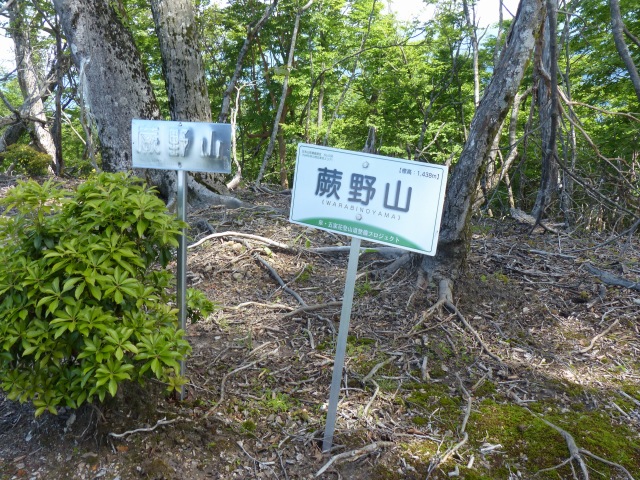 f0357487_19382.jpg