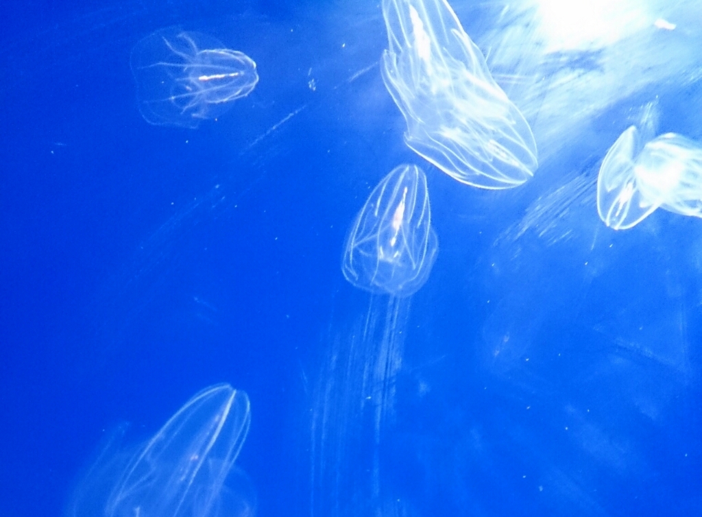 a0043389_00331929.jpg