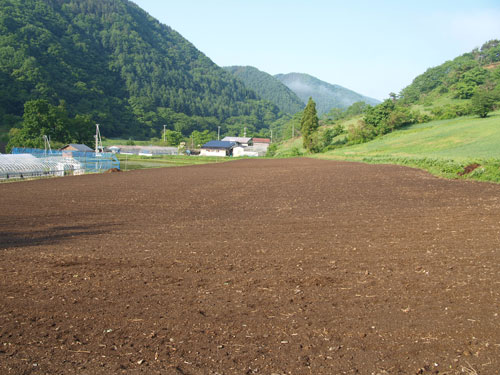 f0236291_853135.jpg