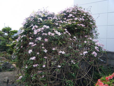暖かな日には何かある?_b0343293_21335397.jpg