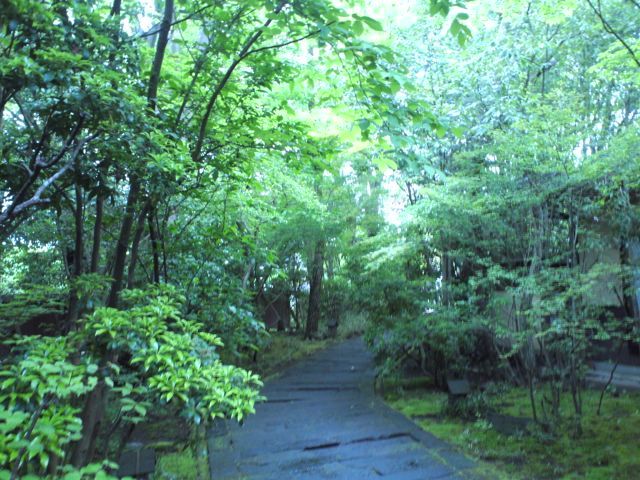 d0080998_23164953.jpg
