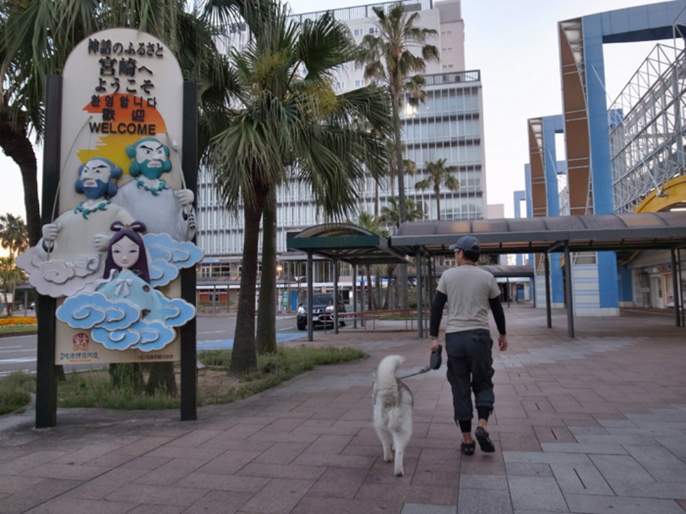 見つけたこんなもの(*^_^*)_c0049299_2240407.jpg