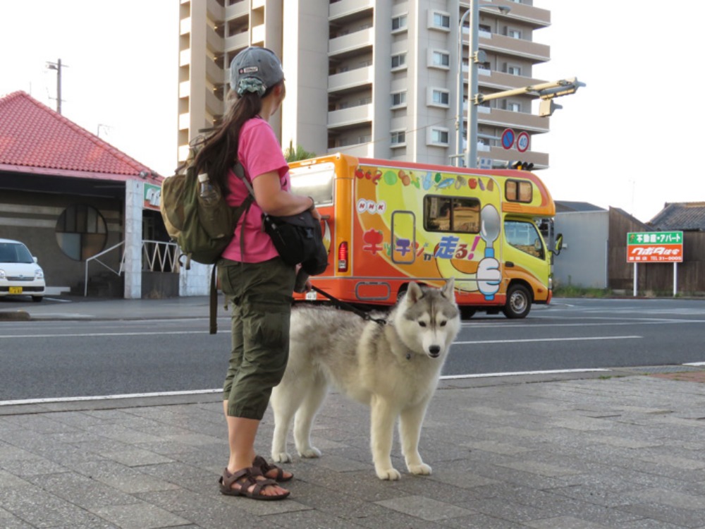 見つけたこんなもの(*^_^*)_c0049299_22424466.jpg