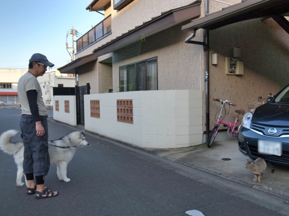 見つけたこんなもの(*^_^*)_c0049299_2246847.jpg