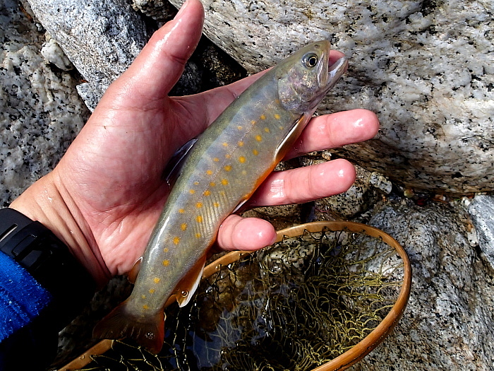 c0339900_9324334.jpg