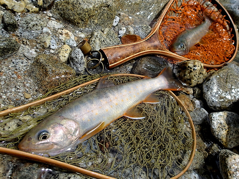c0339900_9391811.jpg