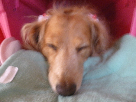 f0178701_93872.jpg