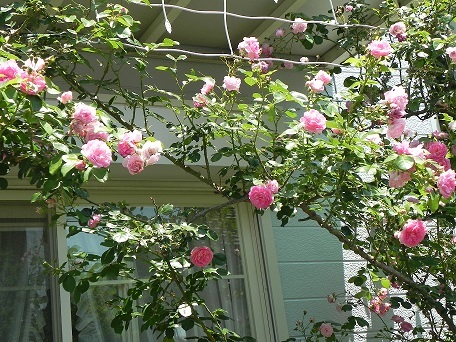 c0152002_20321924.jpg