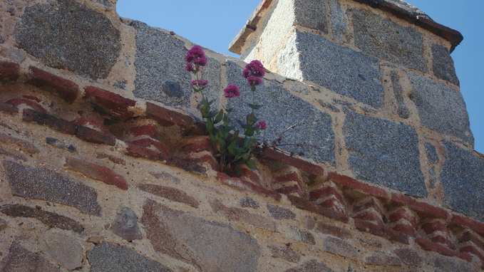 e0255908_783332.jpg