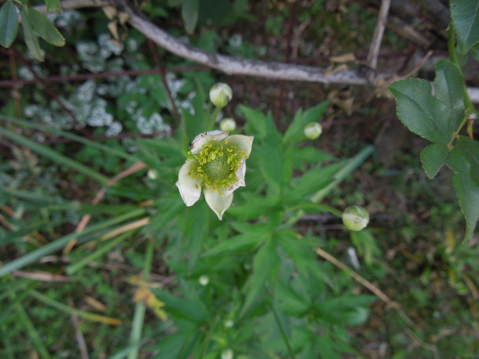 f0297809_0484969.jpg