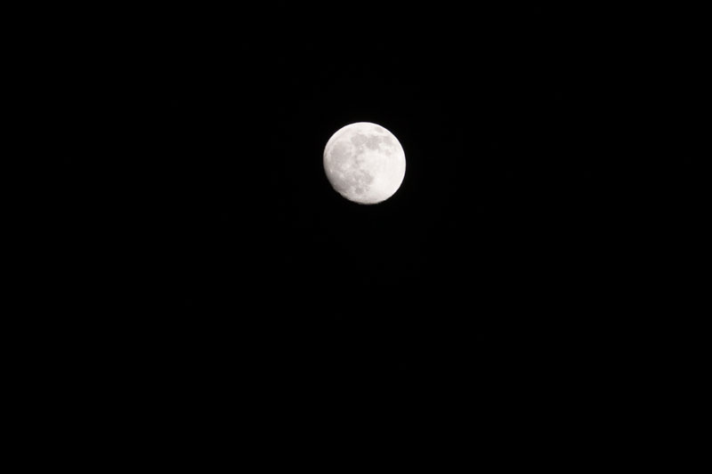 a0278914_21573976.jpg